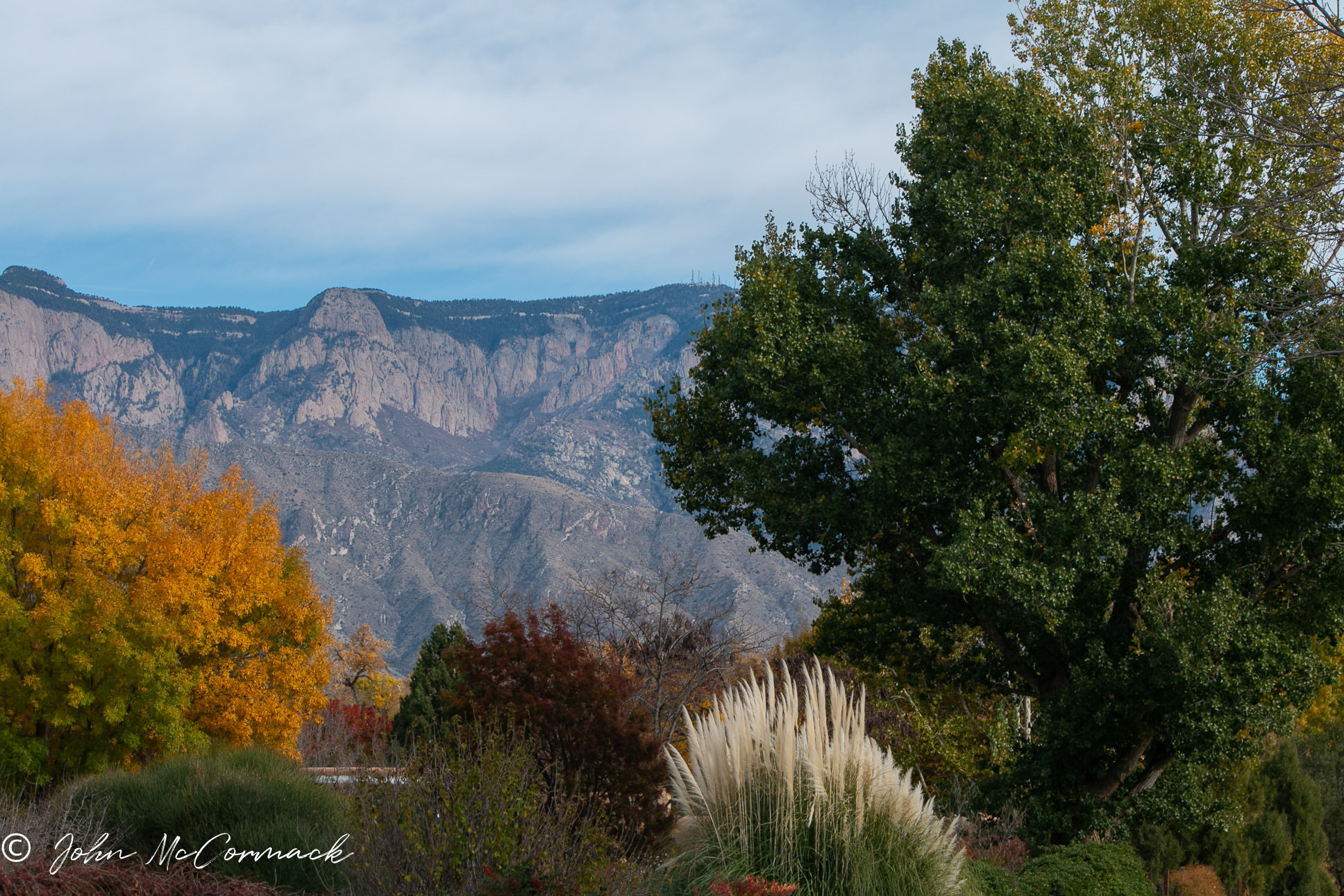 North Valley Homes for Sale » John McCormack