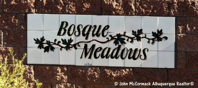 Bosque Meadows Homes For Sale