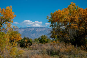 Far North Valley Views